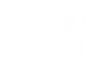 The gorilla way